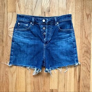Alexa Chung x AG Fifi High Waisted Shorts